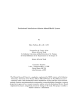 Professional Satisfaction within the Mental Health System