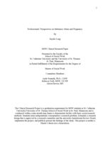 Professionals' Perspectives on Substance Abuse and Pregnancy