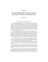 Juvenile Protection Courts and the Pandemic: A View from Inside Out
