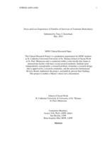 Stress and Loss Experiences of Families of Survivors of Traumatic Brain Injury