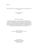 Risk and Protective Factors of Delinquency: Perspectives from Professionals Working with Youth