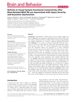 Deficits in visual system functional connectivity after blast-related mild TBI are associated with injury severity and executive dysfunction