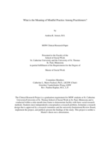 What is the Meaning of Mindful Practice Among Practitioners?
