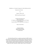 Mindfulness as a Treatment Component for Adults Suffering from Post-Traumatic Stress Disorder