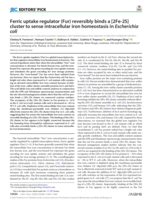 Ferric Uptake Regulator (Fur) Reversibly Binds a [2Fe-2S] Cluster to Sense Intracellular Iron Homeostasis in Escherichia Coli