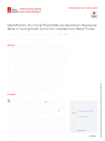 Identification of a Novel Plasmid-Borne Gentamicin Resistance Gene in Nontyphoidal Salmonella Isolated from Retail Turkey