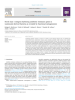 Novel Class 1 Integron Harboring Antibiotic Resistance Genes in Wastewater-Derived Bacteria as Revealed by Functional Metagenomics