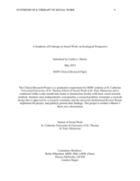 A Synthesis of E-therapy in Social Work: an Ecological Perspective