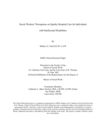 Social Workers' Perceptions on Quality Hospital Care for Individuals with Intellectual Disabilities