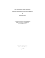 The Critical Need for Critical Consciousness: Exploring Challenges and Cultivating Effective Pedagogy