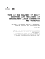 What is the Meaning of This?  Identity and Wellbeing in Sensemaking about Retention and Turnover