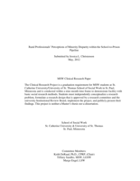 Rural Professionals' Perceptions of Minority Disparity within the School-to-Prison Pipeline
