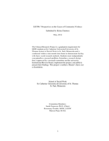 LICSW's Perspectives on the Causes of Community Violence