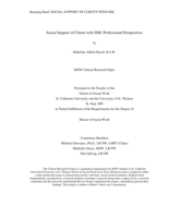 Social Support of Clients with SMI: Professional Perspectives