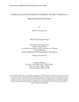 Transition-Age Youth with Intellectual Disabilities: Providers' Perspectives on Improving Postschool Outcomes