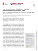 Draft genome sequence of the caffeine-degrading methylotroph <em>Methylorubrum populi</em> Pinkel