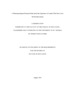 A Phenomenological Research Study about the Experience of Leaders Who Have Led a SEAM Intervention