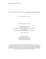 Foster Care Adoption: An Overview of Challenges Experienced by Parents