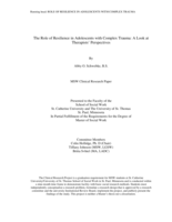 The Role of Resilience in Adolescents with Complex Trauma: A Look at Therapists’ Perspectives