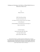 Challenges and Advantages in the Delivery of Mental Health Services to Adolescents in Rural Areas