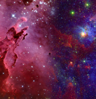 Creation, Free Will, Adam, Sin